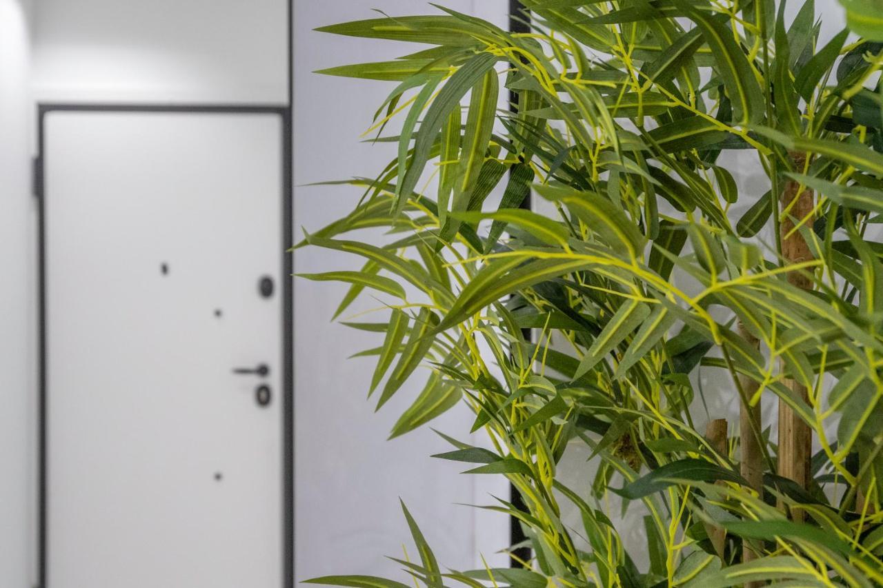 Luxury Studio Apartment In The Heart Of Αθήνα Εξωτερικό φωτογραφία